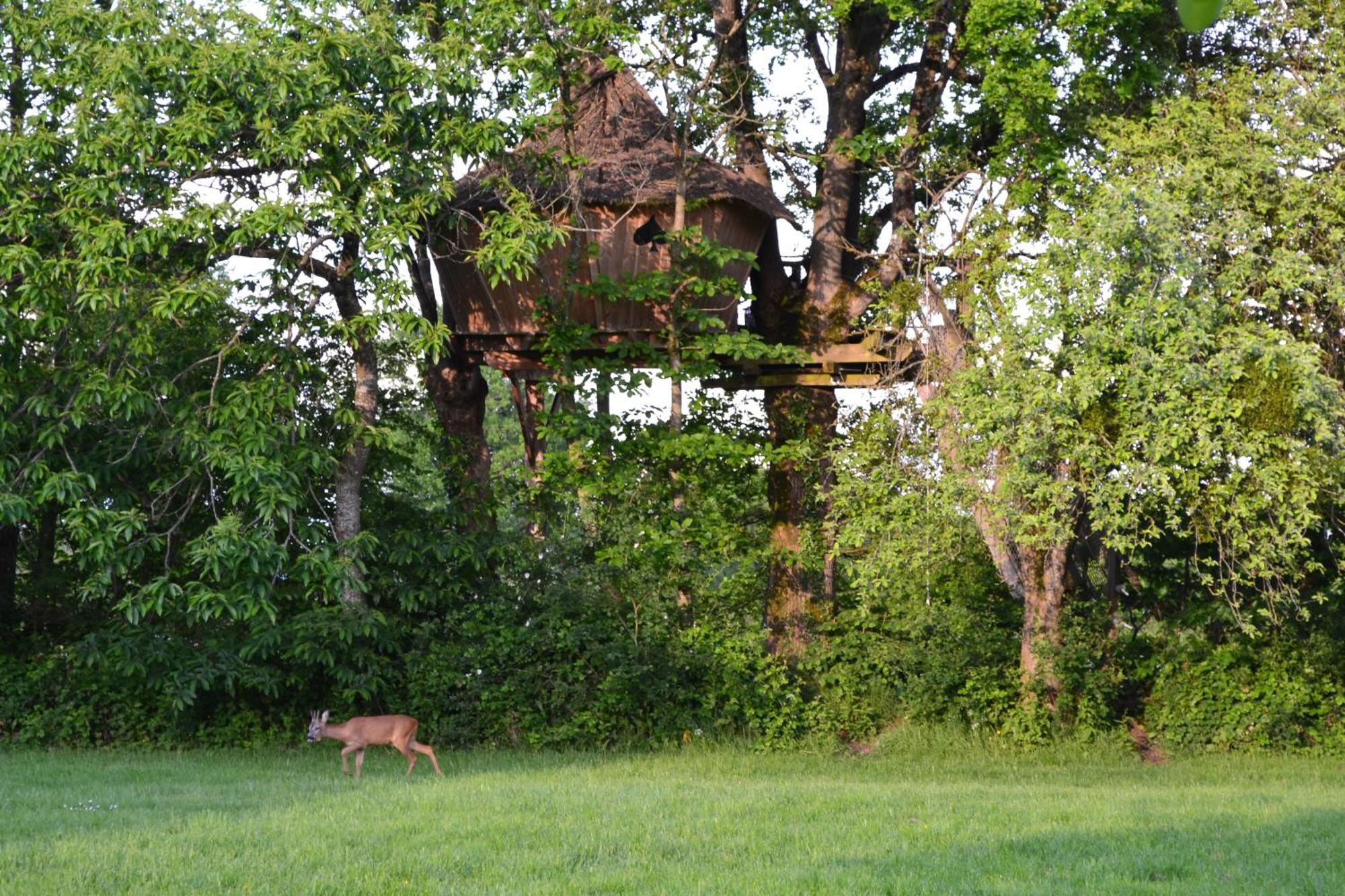 Domaine Des Vaulx - Locations De Cabanes Insolites La Baconniere エクステリア 写真