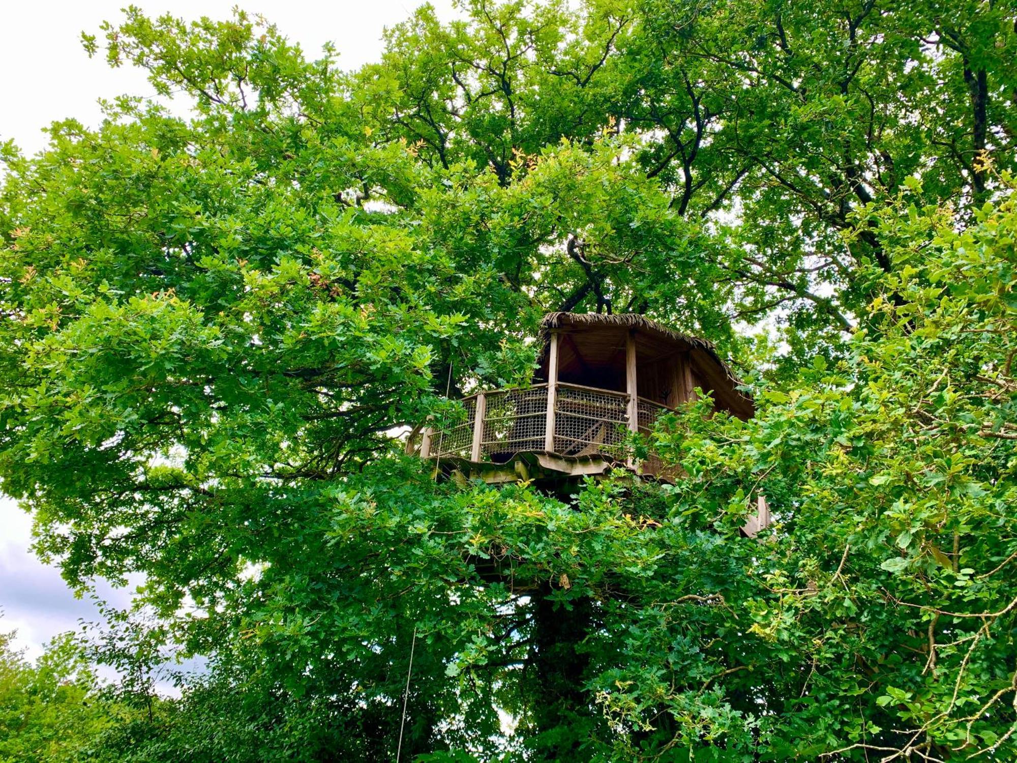 Domaine Des Vaulx - Locations De Cabanes Insolites La Baconniere エクステリア 写真